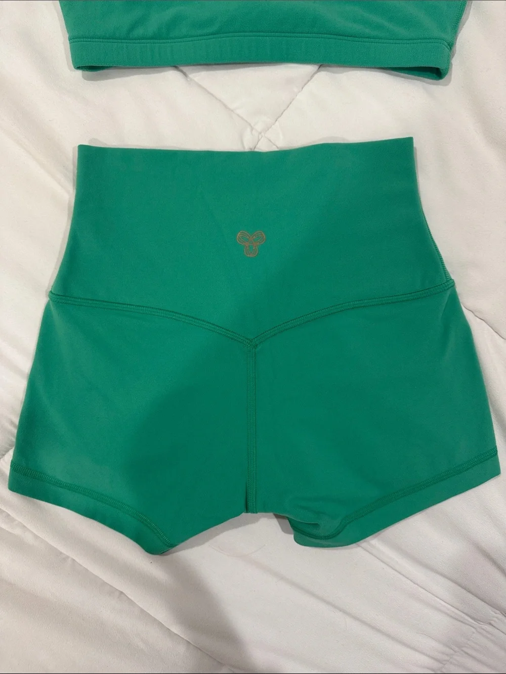 Aritzia Green Athletic Shorts and Matching Sports Bra Set